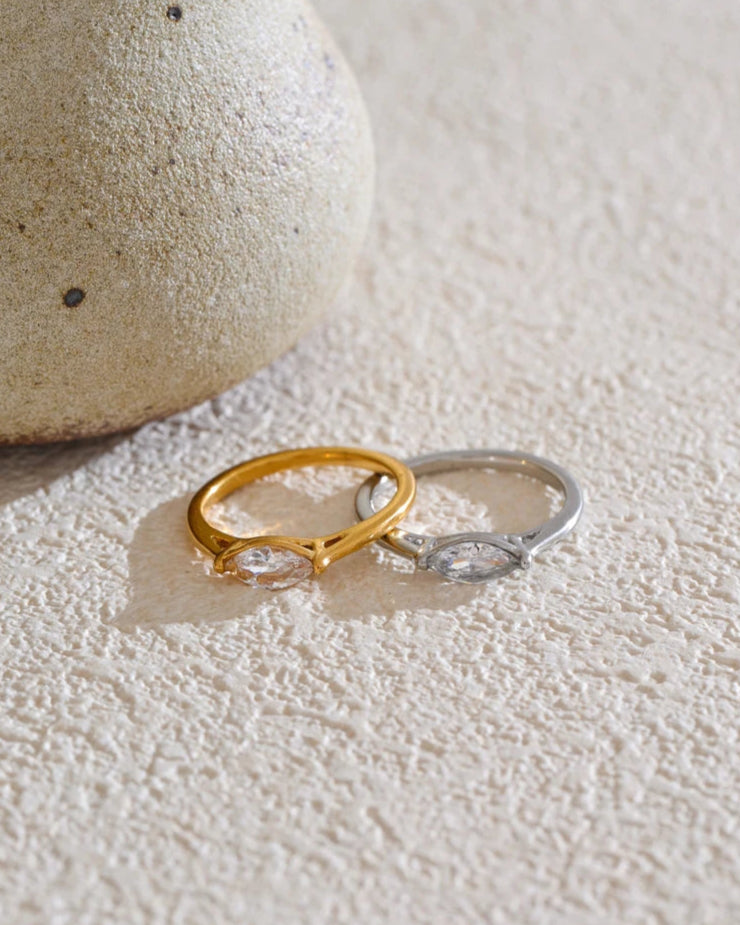 Schmoock's - Ecphantus