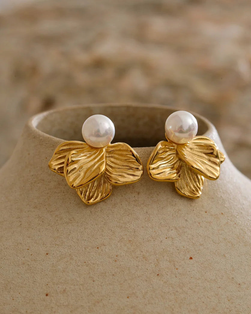 Schmoock's - Eurylokos