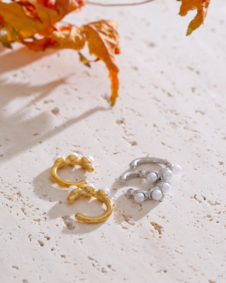 Schmoock's - Aristaeus