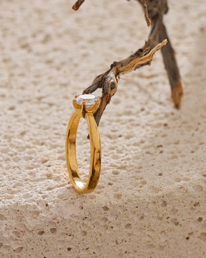 Schmoock's - Zosimus