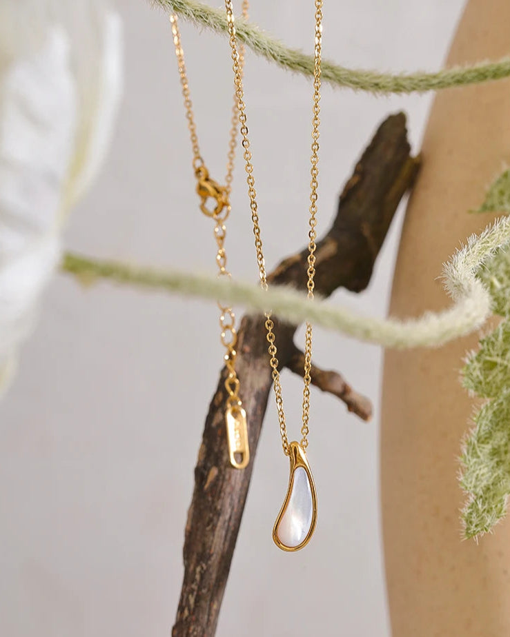 Schmoock's - Timocrates